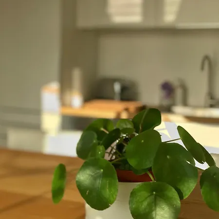 Mein Smarthome In Mit Siebengebirgsblick & Klimaanlage דירה בון