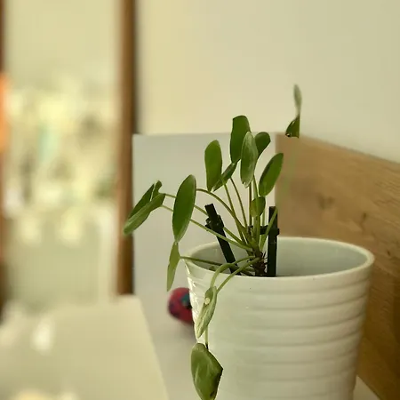Apartamento Mein Smarthome In Mit Siebengebirgsblick & Klimaanlage *